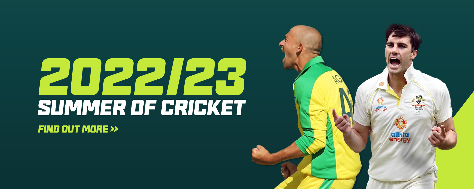 Cricket22